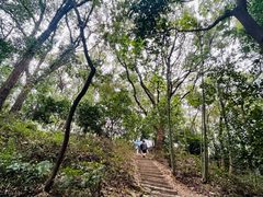 -上海佘山国家森林公园天马山园