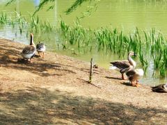 -泰安地下龙宫景区