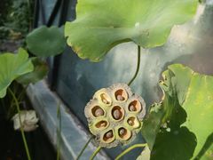 -La Medina餐厅(亮马河南路店)