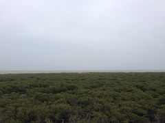 -北海金海湾红树林生态旅游区