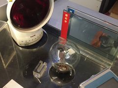 -车艺佳龙膜隐形车衣汽车贴膜(宝山丰宝店)
