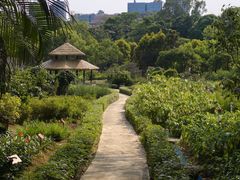 -广西壮族自治区药用植物园