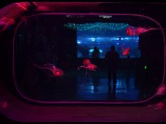 -石家庄极地海洋世界