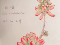 -鼎画艺术机构(贵都店)