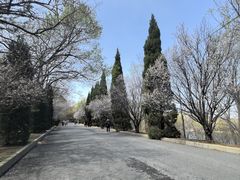 -金龙寺国家森林公园
