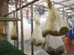 -荔城生鲜盛宴(番禺旗舰店)