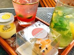 -柴犬高等学院·狗咖·柴犬售卖·宠物训练