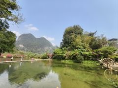 -靖西鹅泉风景区
