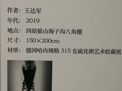 -四川美术馆
