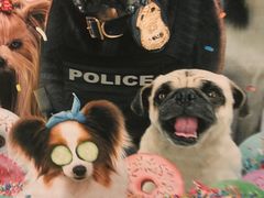 -凯德广场(武胜路店)