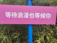 -小洋口旅游度假区