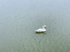 -艾溪湖湿地公园