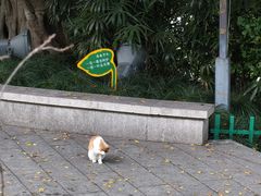 -乌山风景区