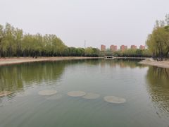 景点-森林公园(尖草坪区)