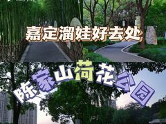 -陈家山荷花公园