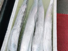 -渔中舟海鲜大排档(普陀沈家门店)