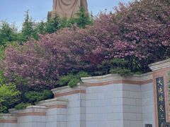 -石岛赤山风景区