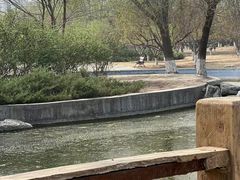 -太阳宫公园