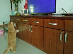 -怡海公园(桂城街道)