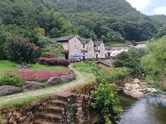 -雁南飞茶田景区