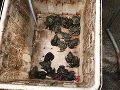 -青石桥市场北1-27号