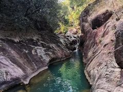 -广州白江湖森林公园