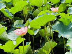 -重元寺