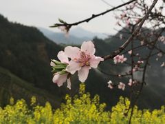 -石潭村