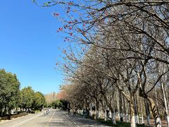 -西昌邛海湿地