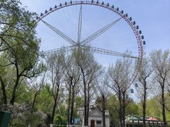 -哈尔滨文化公园
