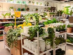 -宜家家居(四元桥商场店)