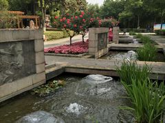 -荆川公园