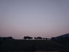 -帐篷客·溪龙茶谷度假酒店