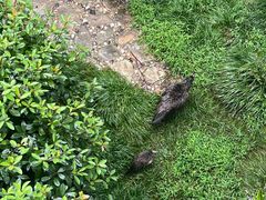 -苏州环秀晓筑养生度假村