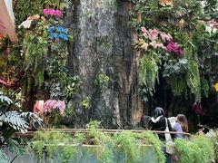 -正佳雨林生态植物园