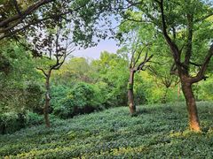 -虞山风景区