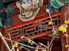 -月坛公园