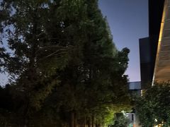 -龙盛活力小镇