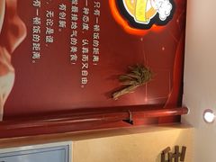 -新概念来凤鱼(璧山店)