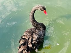 -北京鹿世界主题园