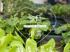 -中环花鸟鱼虫市场