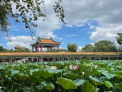 -宝墨园景区