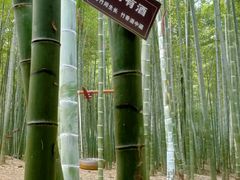 -陶祖圣境风景区