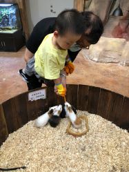 -宝燕乐园(闵行旗舰店)