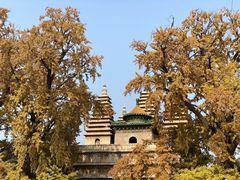 -北京石刻艺术博物馆(五塔寺)