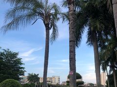 -石炮台公园