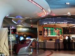 -奥斯卡升龙国际影城(RealD Cinema)
