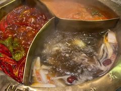 -小龙坎老火锅(华飞店)