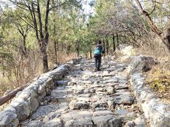 -阳台山自然风景区