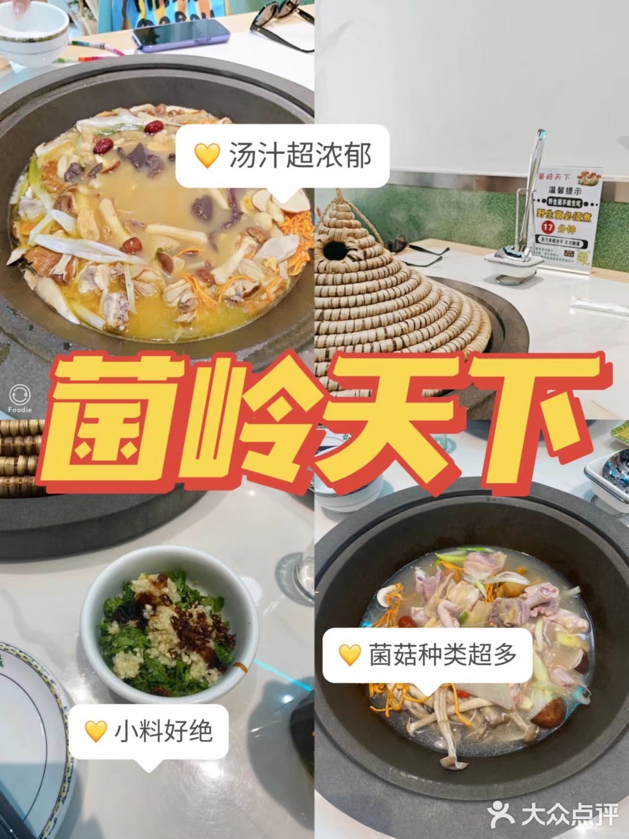 ✔版纳之旅吃过最满意的菌子火锅店就是他们家了——菌岭天下